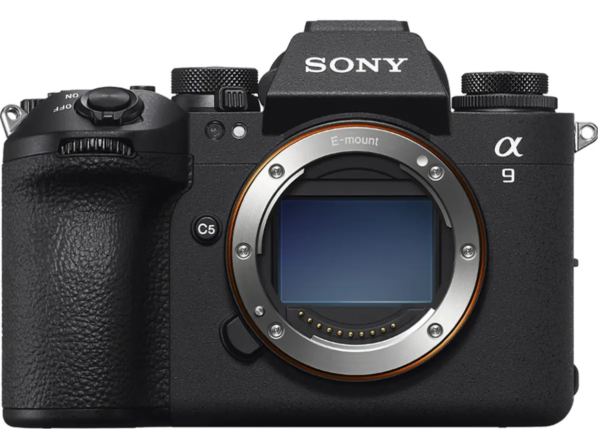 Best Camera Autofocus Systems 2024: Top Brands Ranked